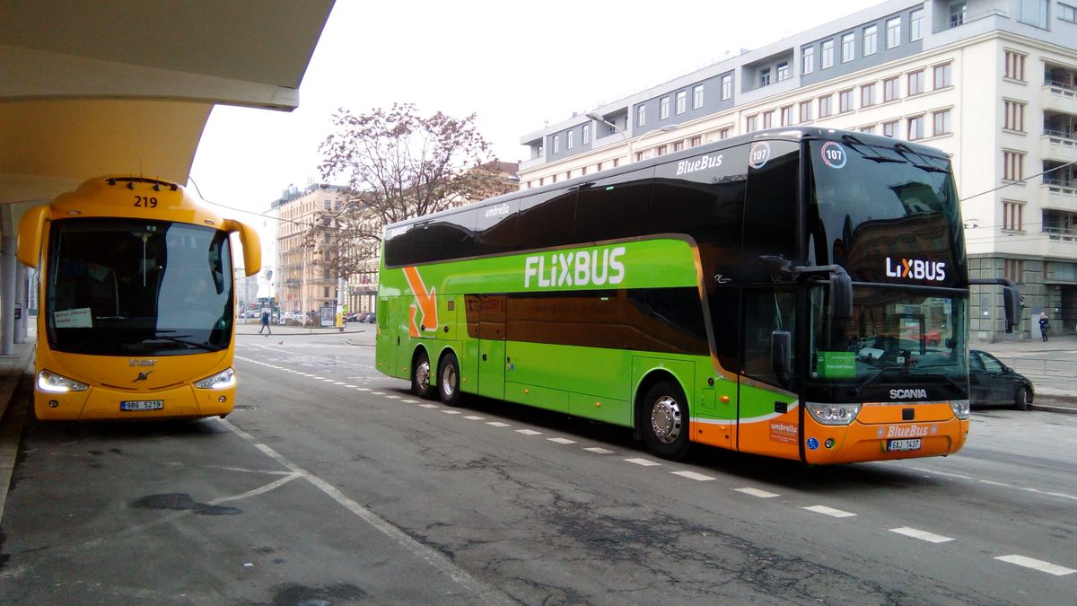 RegioJet a FlixBus v příštím týdnu obnoví další spoje, roste poptávka